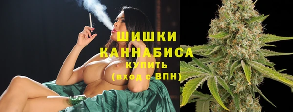 spice Верхний Тагил