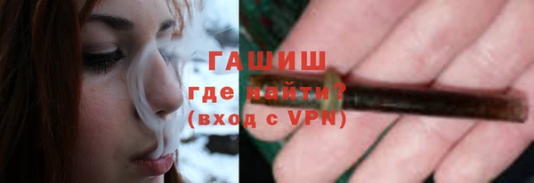 гидра Тында