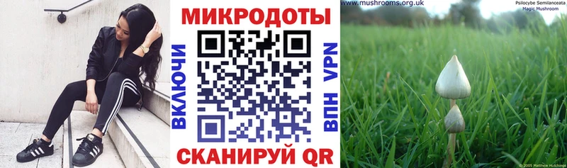 Галлюциногенные грибы прущие грибы  нарко площадка как зайти  Лосино-Петровский 