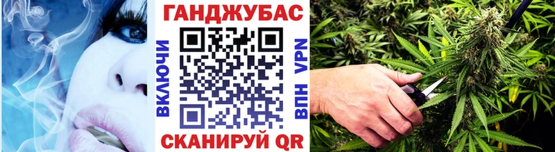 кракен как войти Лосино-Петровский Бошки марихуана ГИДРОПОН